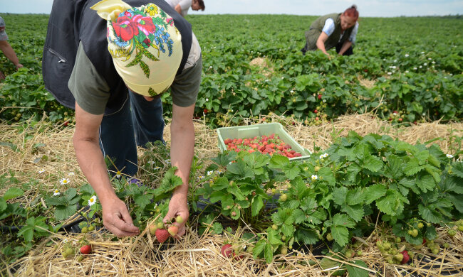 Заробітчани, фото Сьогодні
