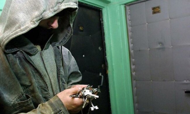 Всі методи хороші: як українці воюють з домушниками