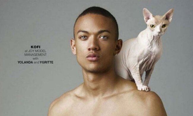 Чоловіки прорекламували себе з котами (ФОТО)