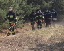 Чорнобиль палає з новою силою - рятувальники метаються між пожежами по всій зоні відчуження, відео