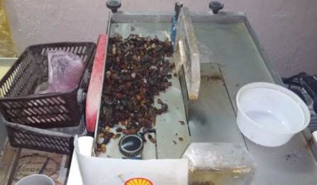 У Чернівцях незаконно готували бурштин для продажу в ЄС (фото, відео)
