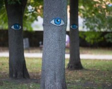 Так дешевше: українців хочуть ховати в парках і без труни