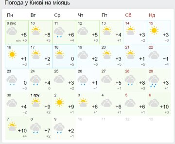 Прогноз погоды на ноябрь, фото: кадр из видео