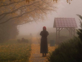 Українці, осінь, туман, фото із соцмереж