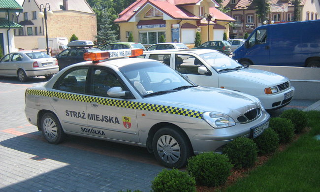 Нам и не снилось: украинец пытался дать взятку польским копам, но что-то пошло не так