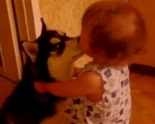 Як хаскі за немовлям повзали (відео)