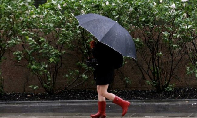 Вредное лето: пакости природы не покинут Украину