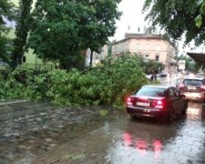 Гроза во Львове, фото - соцсети