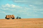 Бронирование аграриев — какие документы нужны