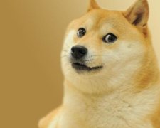 Легендарний мем став перспективною криптовалютою