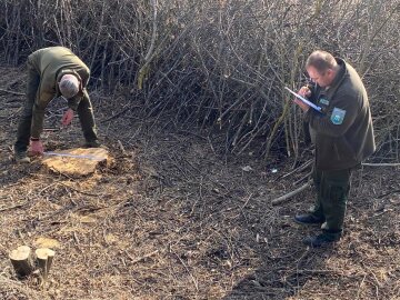 Госэкоинспекция