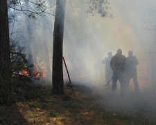 Погода задумала злую шутку сразу в нескольких областях