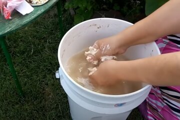 Подкормка из дрожжей, скриншот: YouTube
