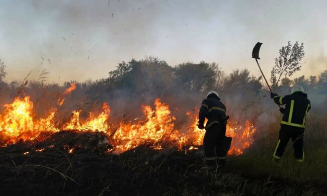 Пожар, фото ГСЧС