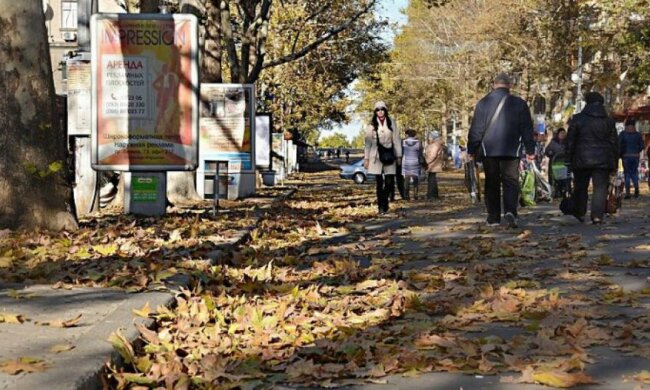 Миколаїв похований у листі: комунальники ігнорують (фото)