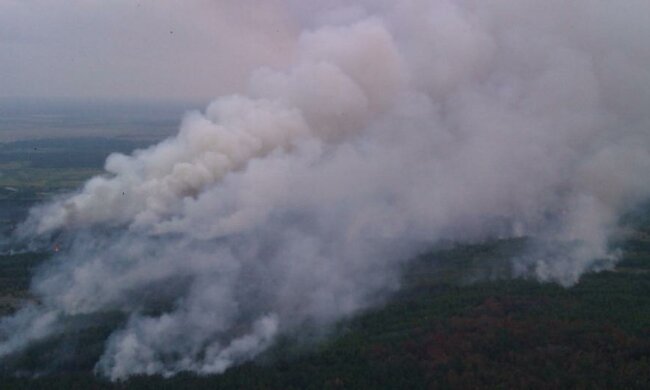  Лесной пожар снова вспыхнул под Киевом