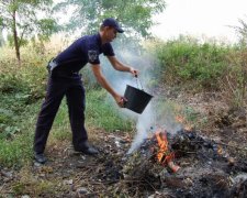 Один день с копами: спасали город от пожара и искали бомбу