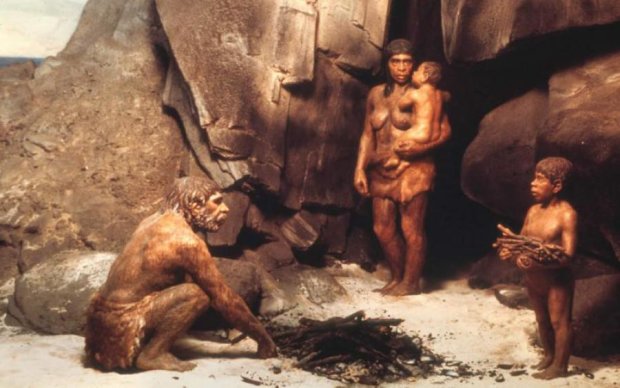 Археологи з'ясували де ховалися останні неандертальці