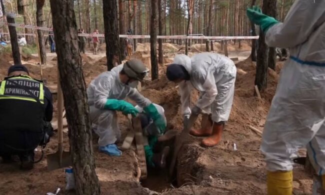Изюм, фото: скриншот с видео