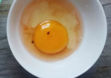 Червона цятка в яйці, кадр з відео