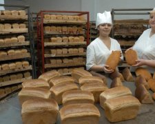 Мечта Януковича: вскоре весь хлеб в Украине станет золотым