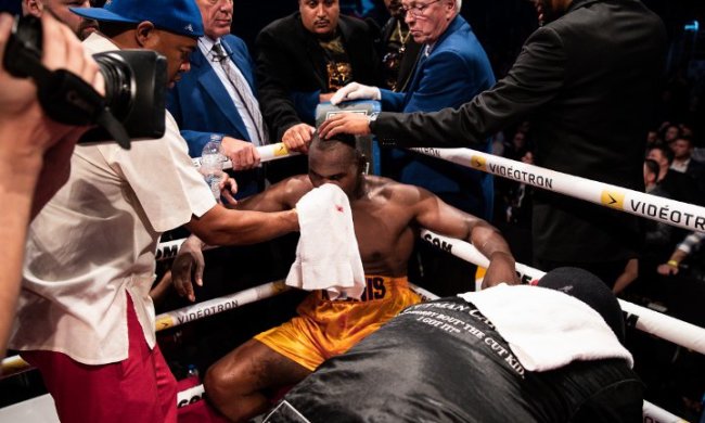 Стівенсон у критичному стані після нокауту від Гвоздика