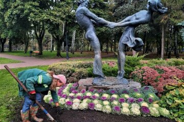 Капуста в клумбе / фото: Вечерний Киев