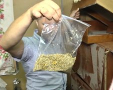 Поліція "накрила" харківський наркокомбінат (фото)