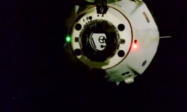 Crew Dragon, Фото: Space X