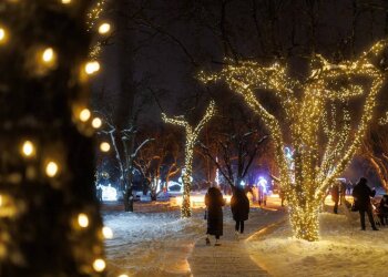 Украинцы, Новый год, фото из соцсетей