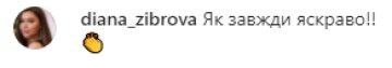 Скріншот з коментарів, instagram.com/pavlo_zibrov/
