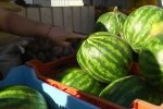 Днепровские рынки заполонили дыни и арбузы - где купить летнее лакомство уже сегодня