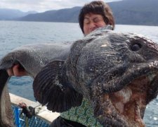 Морське чудовисько ледь не проковтнуло дитину: жахливе відео