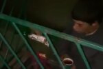 В Ужгороді підліток живе на вулиці, скріншот