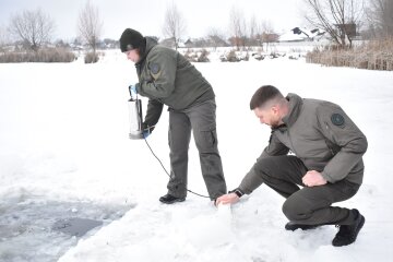 Госэкоинспекция