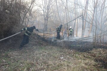 Чорнобиль у вогні, фото ДСНС