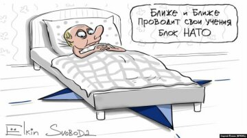 Карикатура на Путина, фото: Сергей Елкин