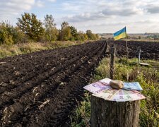 український земельний пай поле