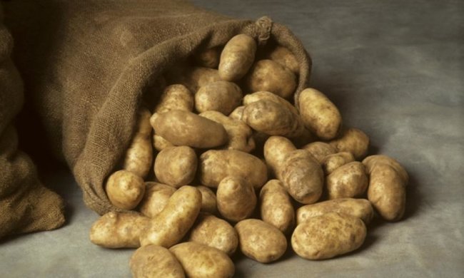 Злодії покалічили чоловіка через мішок картоплі