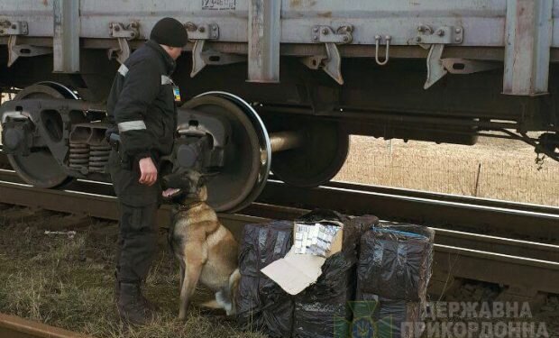 Закарпатские пограничники нашли "подарки" от Путина в неожиданном месте – проехали через всю Украину