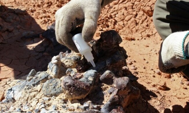 Пролежали целых 220 млн лет: археологи раскопали настоящих чудовищ, чем это грозит