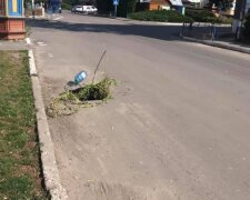 Тернополяни засадили вбиті дороги деревами: "Замість клумб"