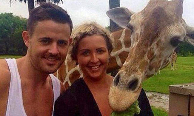 Усміхнений жираф перетворив селфі туристів на фотобомбу