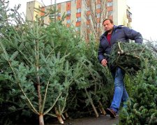 Найпотворніша ялинка України зводить соцмережі з глузду: вбивця новорічного настрою