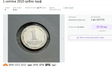 Монета. Фото: скриншот Violity