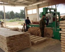 Монополізація від Мінагрополітики: лісозаготівельники опинились на межі краху