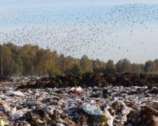 Європа допоможе Україні розібратись зі сміттям