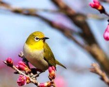 16 березня: яке сьогодні свято - історія і традиції