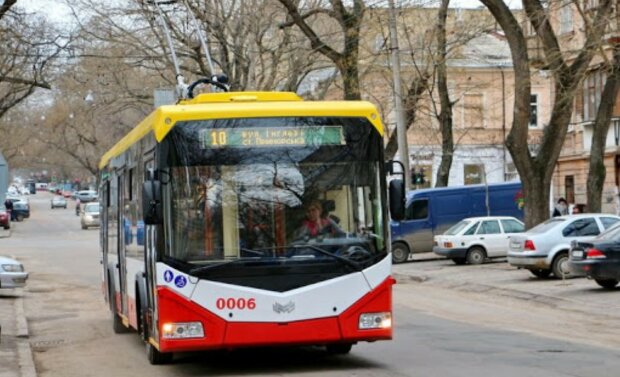 Тролейбус, фото: видання Журнал Житомира