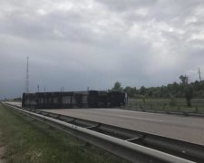 ДТП з українськими дітьми в Білорусі: копи схопили водія